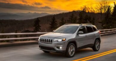 Jeep Cherokee (2020) - caja de fusibles y relés