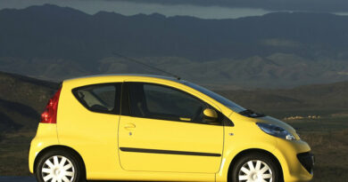 Peugeot 107 (2006) - caja de fusibles y relés