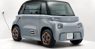 Citroën Ami (2020-2022) - caja de fusibles y relés