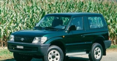 Toyota Land Cruiser (2000-2001) - caja de fusibles