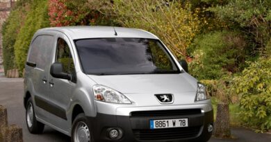 Peugeot Partner VU (2012-2013) - Caja de fusibles