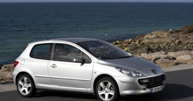 Peugeot 307 (2005-2008) - Caja de fusibles