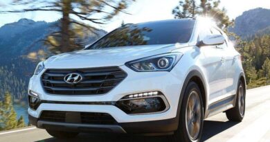Hyundai Santa Fe (2017-2018) - caja de fusibles