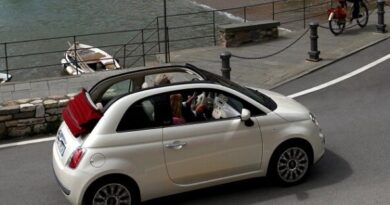Fiat 500 (2007-2010) - caja de fusibles