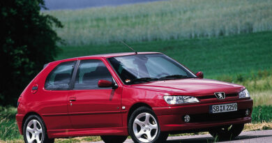 Peugeot 306 (1993-2002) - Caja de fusibles
